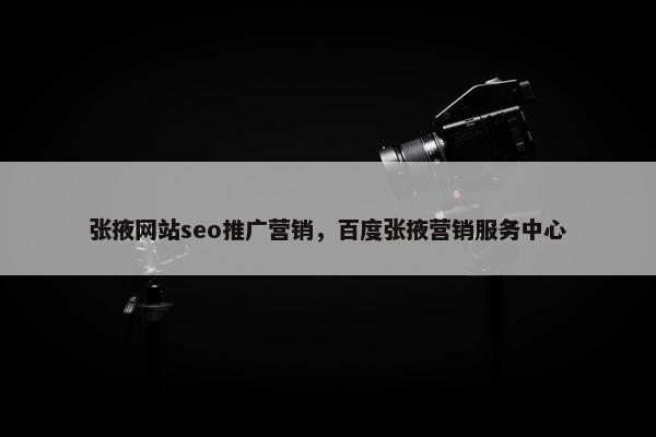张掖网站seo推广营销，百度张掖营销服务中心