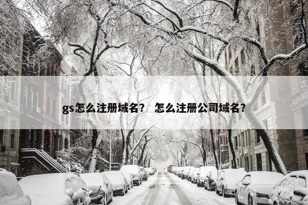 gs怎么注册域名？ 怎么注册公司域名？