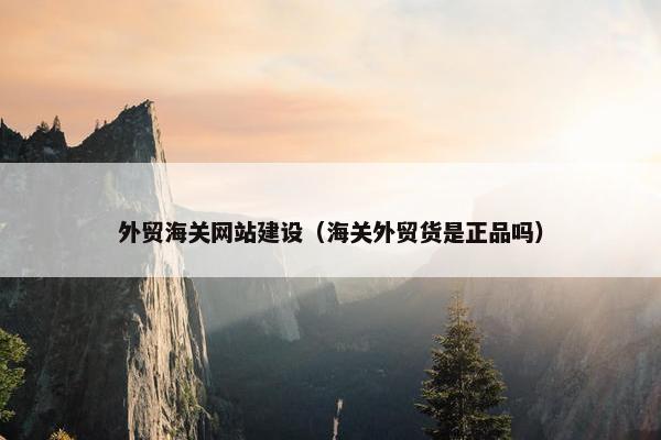 外贸海关网站建设（海关外贸货是正品吗）
