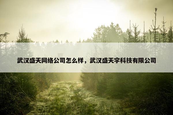 武汉盛天网络公司怎么样，武汉盛天宇科技有限公司