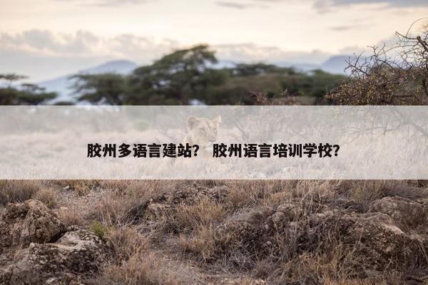 胶州多语言建站？ 胶州语言培训学校？