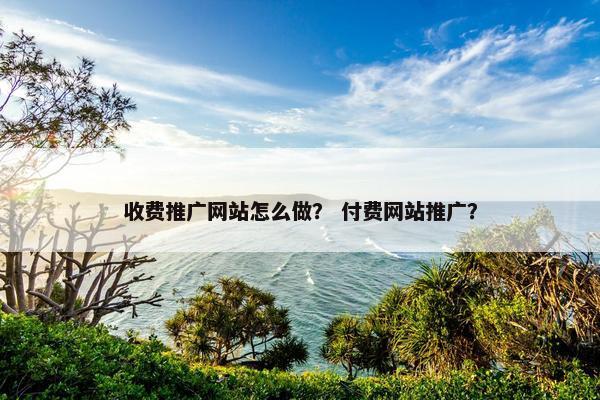 收费推广网站怎么做？ 付费网站推广？