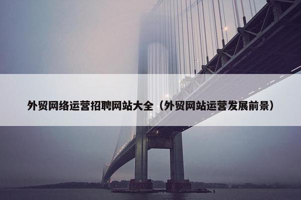 外贸网络运营招聘网站大全（外贸网站运营发展前景）