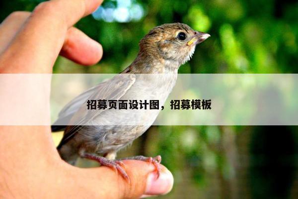 招募页面设计图，招募模板
