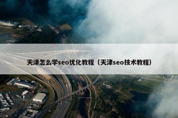 天津怎么学seo优化教程（天津seo技术教程）