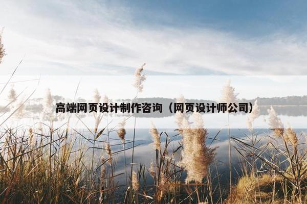 高端网页设计制作咨询（网页设计师公司）