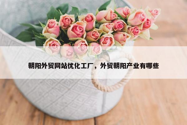 朝阳外贸网站优化工厂，外贸朝阳产业有哪些