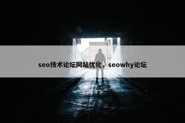seo技术论坛网站优化，seowhy论坛