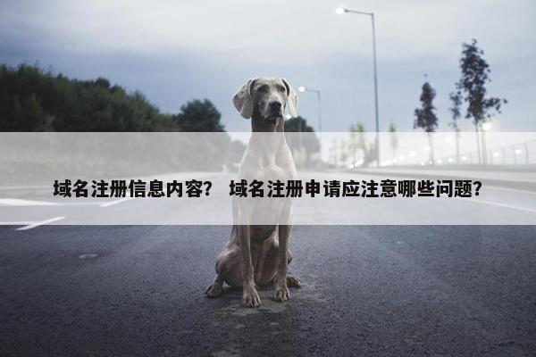 域名注册信息内容？ 域名注册申请应注意哪些问题？