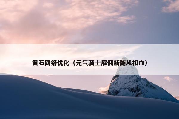 黄石网络优化（元气骑士雇佣新随从扣血）