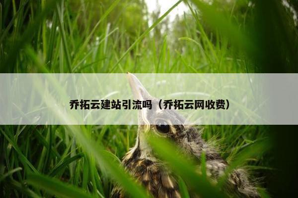 乔拓云建站引流吗（乔拓云网收费）