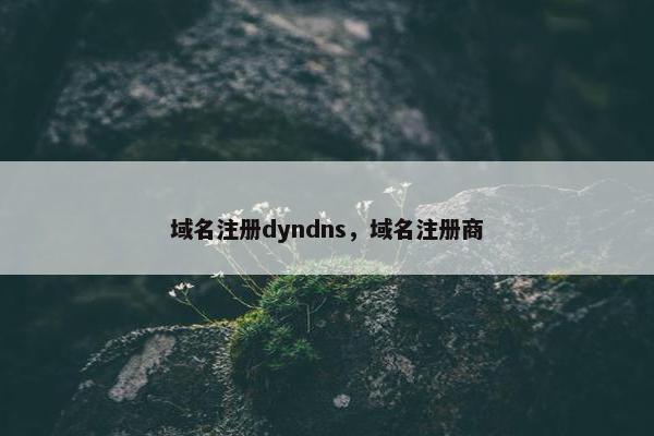 域名注册dyndns，域名注册商