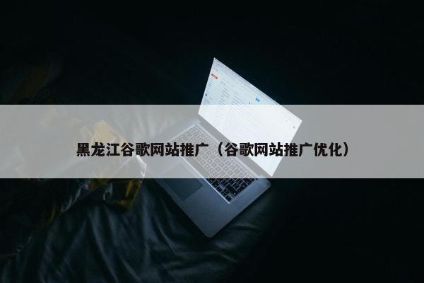 黑龙江谷歌网站推广（谷歌网站推广优化）
