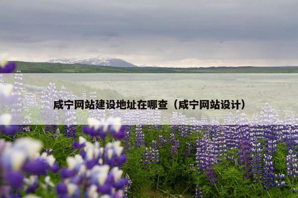 咸宁网站建设地址在哪查（咸宁网站设计）