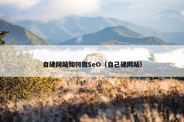 自建网站如何做SeO（自己建网站）