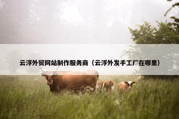 云浮外贸网站制作服务商（云浮外发手工厂在哪里）