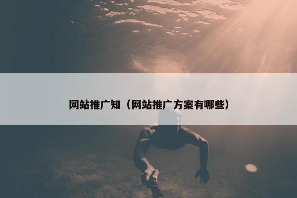 网站推广知（网站推广方案有哪些）