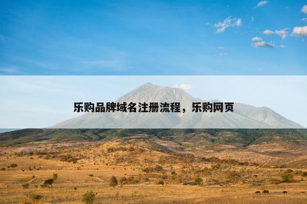 乐购品牌域名注册流程，乐购网页