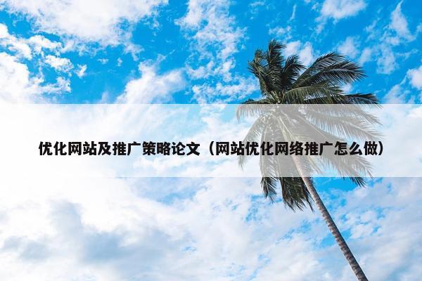 优化网站及推广策略论文（网站优化网络推广怎么做）