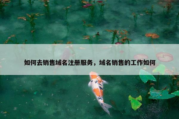 如何去销售域名注册服务，域名销售的工作如何