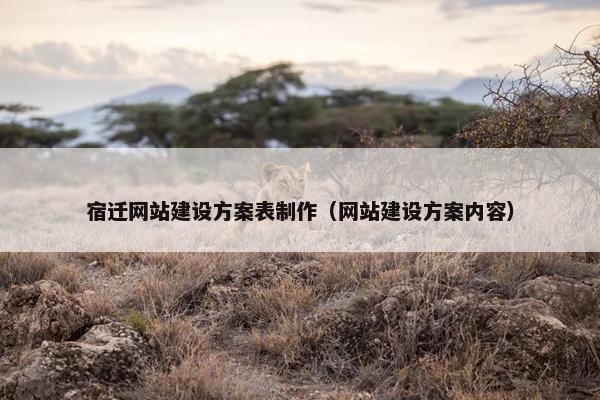 宿迁网站建设方案表制作（网站建设方案内容）