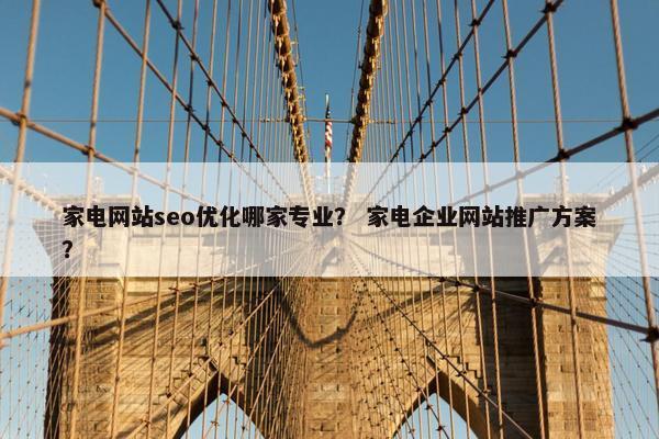 家电网站seo优化哪家专业？ 家电企业网站推广方案？