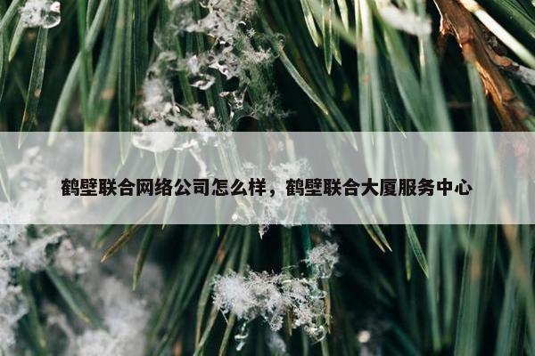 鹤壁联合网络公司怎么样，鹤壁联合大厦服务中心