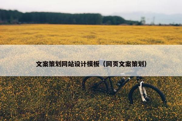 文案策划网站设计模板（网页文案策划）