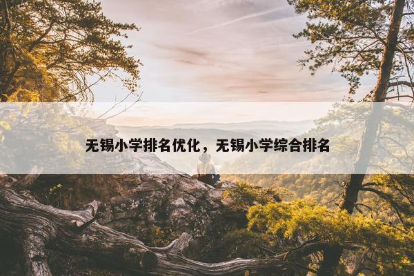 无锡小学排名优化，无锡小学综合排名