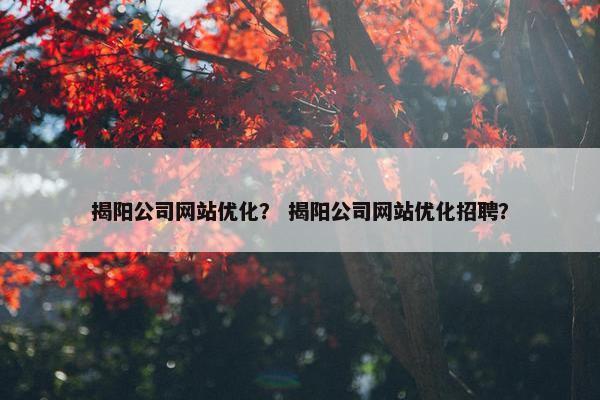 揭阳公司网站优化？ 揭阳公司网站优化招聘？