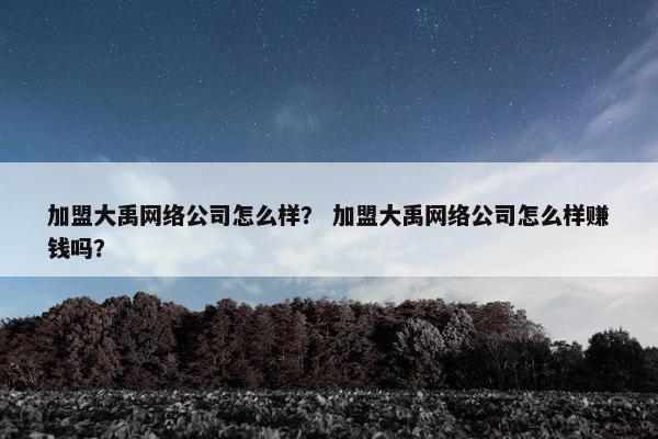 加盟大禹网络公司怎么样？ 加盟大禹网络公司怎么样赚钱吗？