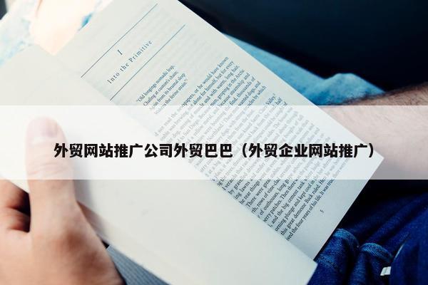 外贸网站推广公司外贸巴巴（外贸企业网站推广）