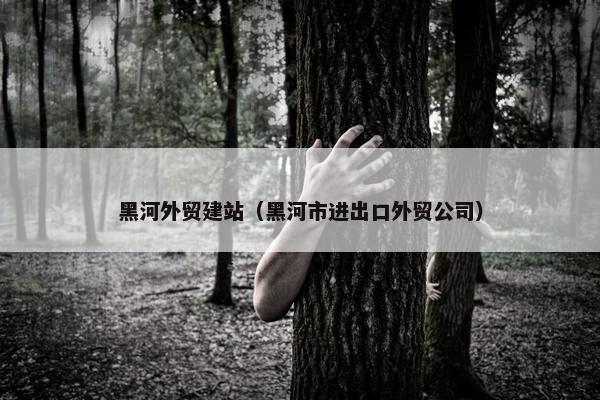 黑河外贸建站（黑河市进出口外贸公司）