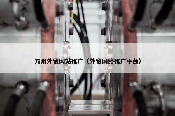 万州外贸网站推广（外贸网络推广平台）
