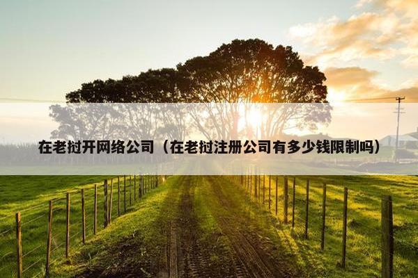 在老挝开网络公司（在老挝注册公司有多少钱限制吗）