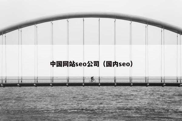 中国网站seo公司（国内seo）