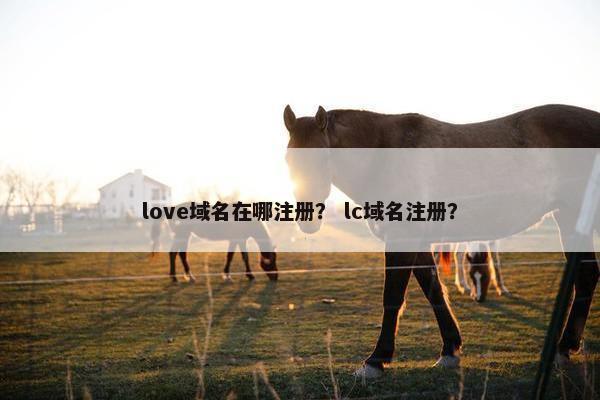 love域名在哪注册？ lc域名注册？