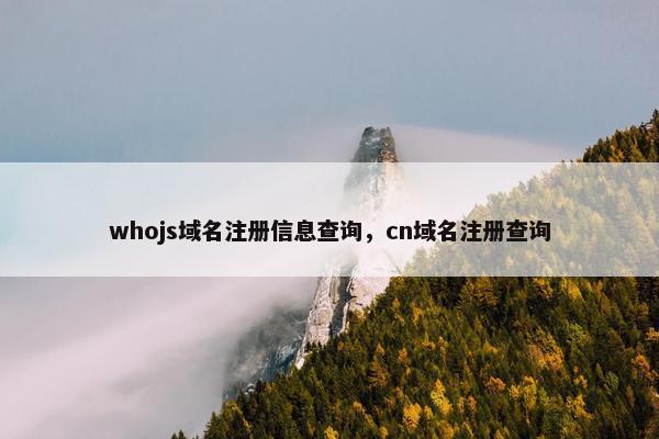 whojs域名注册信息查询，cn域名注册查询