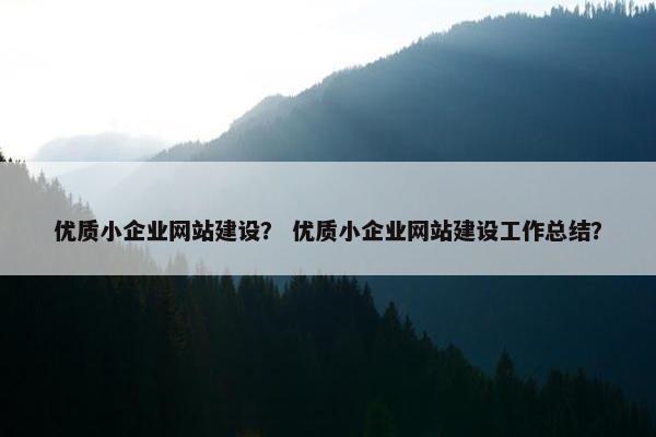 优质小企业网站建设？ 优质小企业网站建设工作总结？