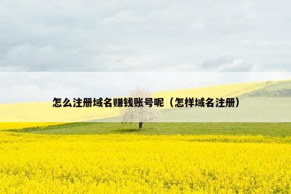 怎么注册域名赚钱账号呢（怎样域名注册）