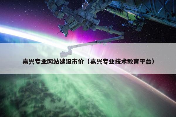 嘉兴专业网站建设市价（嘉兴专业技术教育平台）