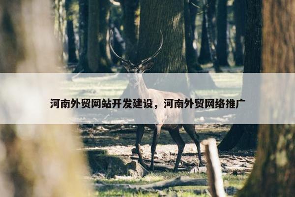 河南外贸网站开发建设，河南外贸网络推广