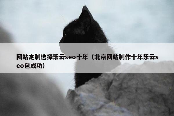 网站定制选择乐云seo十年（北京网站制作十年乐云seo包成功）