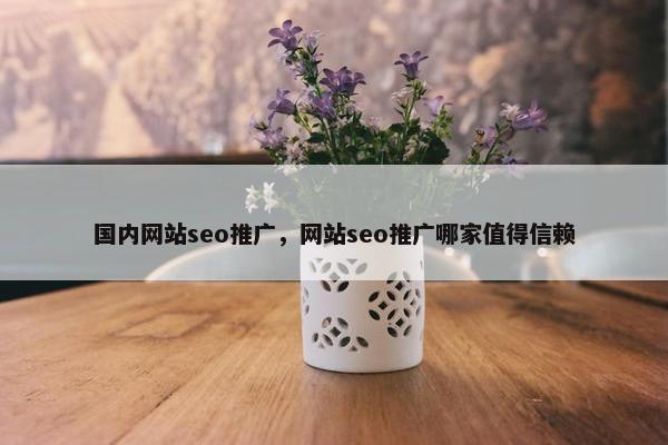 国内网站seo推广，网站seo推广哪家值得信赖