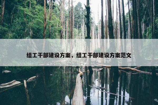 组工干部建设方案，组工干部建设方案范文