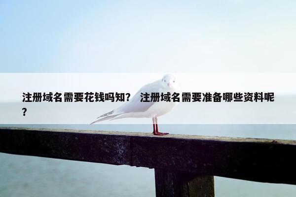注册域名需要花钱吗知？ 注册域名需要准备哪些资料呢？