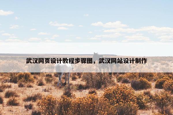武汉网页设计教程步骤图，武汉网站设计制作