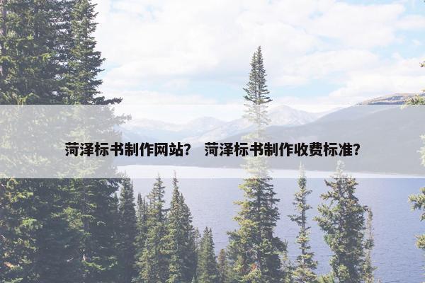 菏泽标书制作网站？ 菏泽标书制作收费标准？