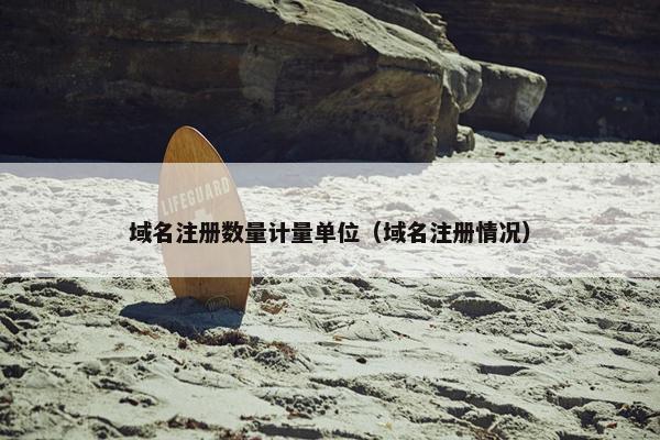 域名注册数量计量单位（域名注册情况）