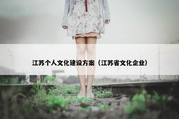 江苏个人文化建设方案（江苏省文化企业）